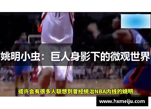 姚明小虫：巨人身影下的微观世界