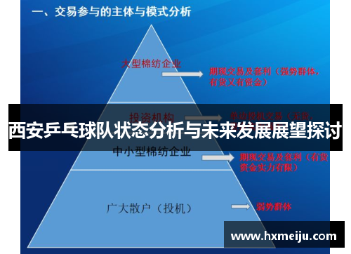 西安乒乓球队状态分析与未来发展展望探讨