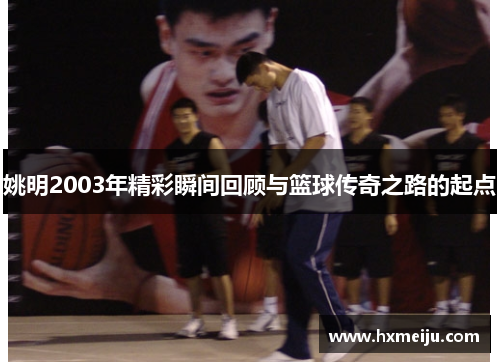 姚明2003年精彩瞬间回顾与篮球传奇之路的起点